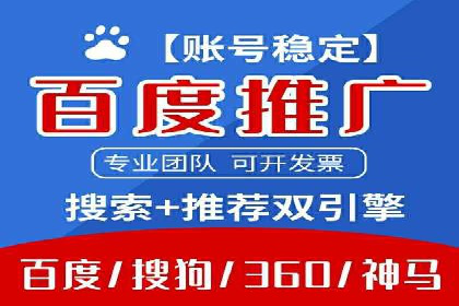 电商平台信息流广告的投放策略与效果评估案例